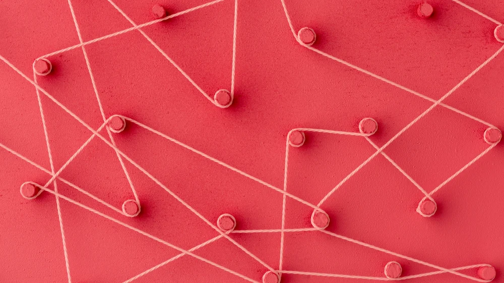 Problem #7: Organizational and Regional Cultural Differences