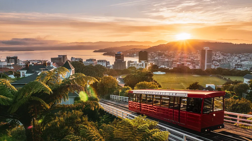 Four Tech Companies in Wellington