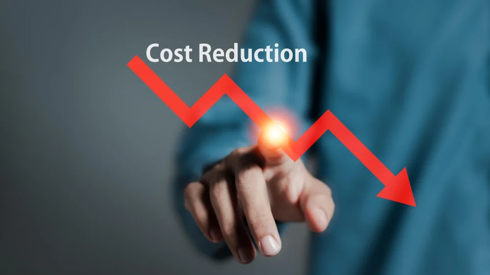 Cost-Effectiveness & Value for Money