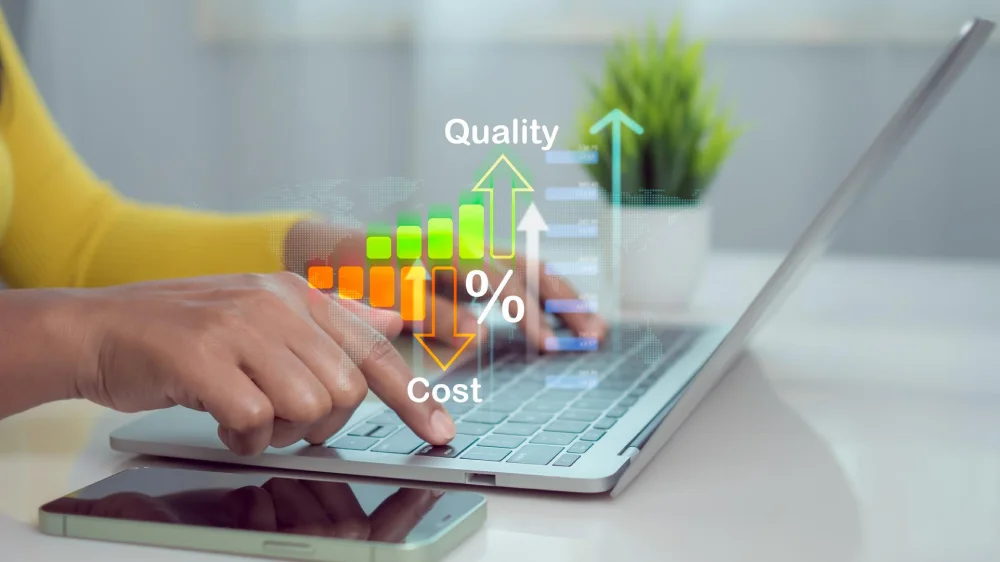 Cost Efficiency and Quality Standards