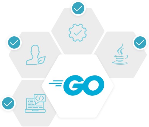 Outsourcing Go Development Services - Orient Software