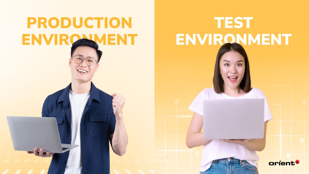 Production Environment vs. Test Environment: Which is Right for Your Software?